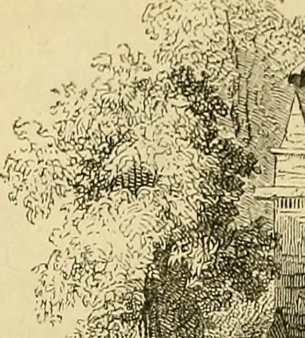 An illustration from The gardener's magazine and register of rural & domestic improvement, 1826, leaf 683