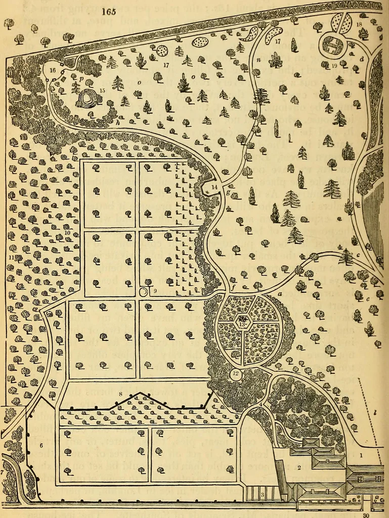 An illustration from The gardener's magazine and register of rural & domestic improvement, 1826, leaf 685