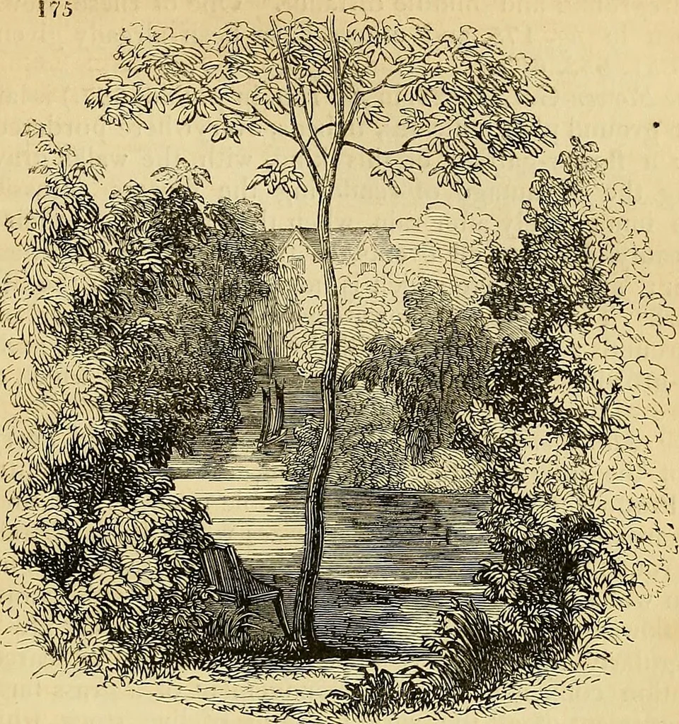 An illustration from The gardener's magazine and register of rural & domestic improvement, 1826, leaf 702
