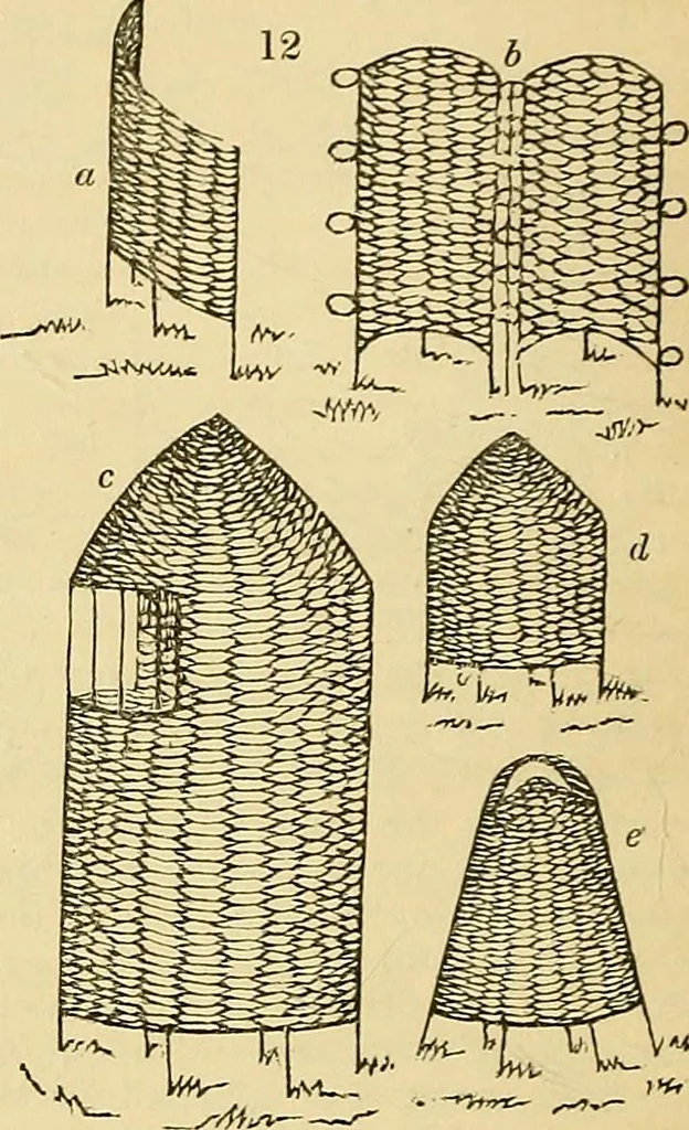 An illustration from The gardener's magazine and register of rural & domestic improvement, 1826, leaf 73