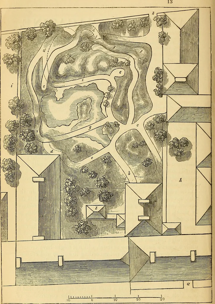 An illustration from The gardener's magazine and register of rural & domestic improvement, 1826, leaf 79