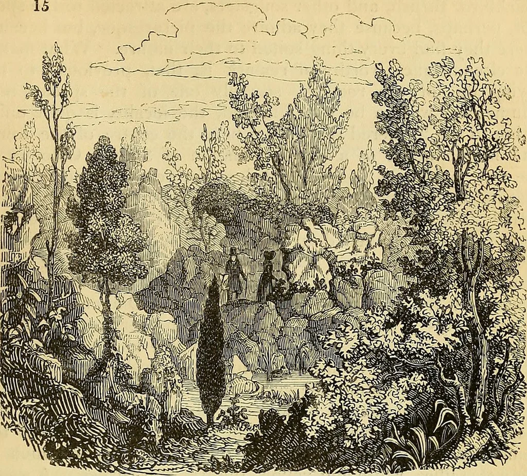An illustration from The gardener's magazine and register of rural & domestic improvement, 1826, leaf 82
