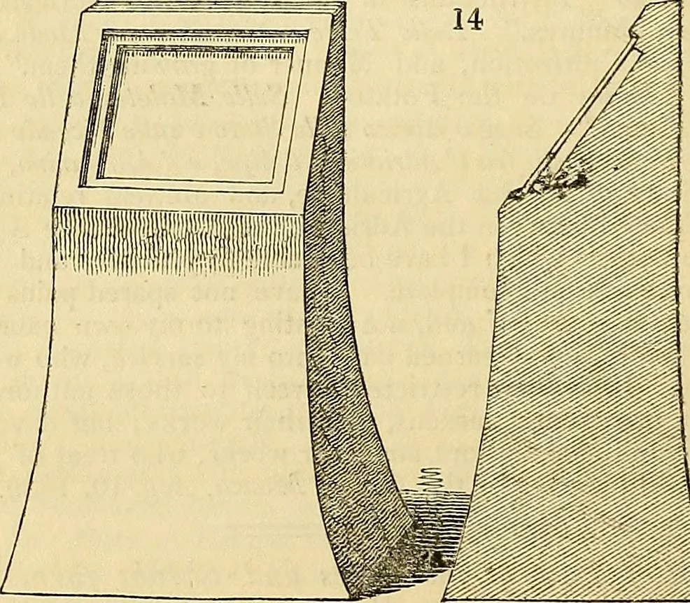 An illustration from The gardener's magazine and register of rural & domestic improvement, 1826, leaf 101