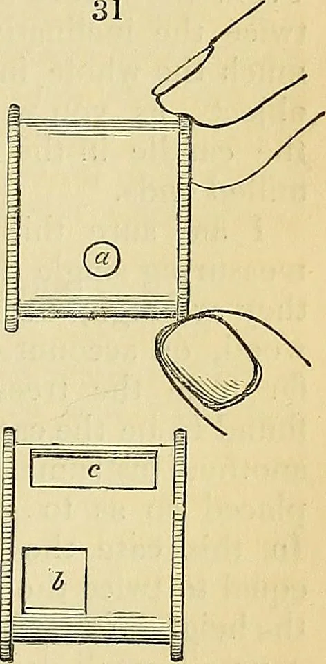 An illustration from The gardener's magazine and register of rural & domestic improvement, 1826, leaf 218