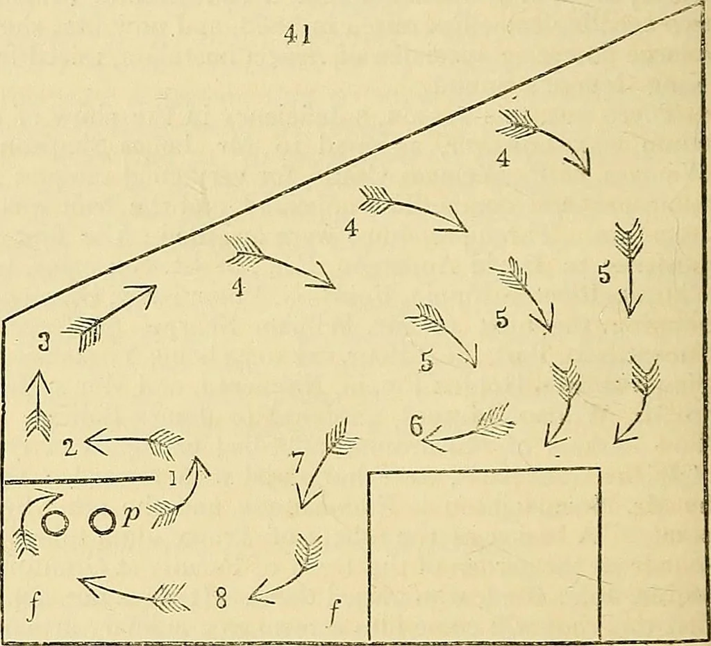 An illustration from The gardener's magazine and register of rural & domestic improvement, 1826, leaf 299