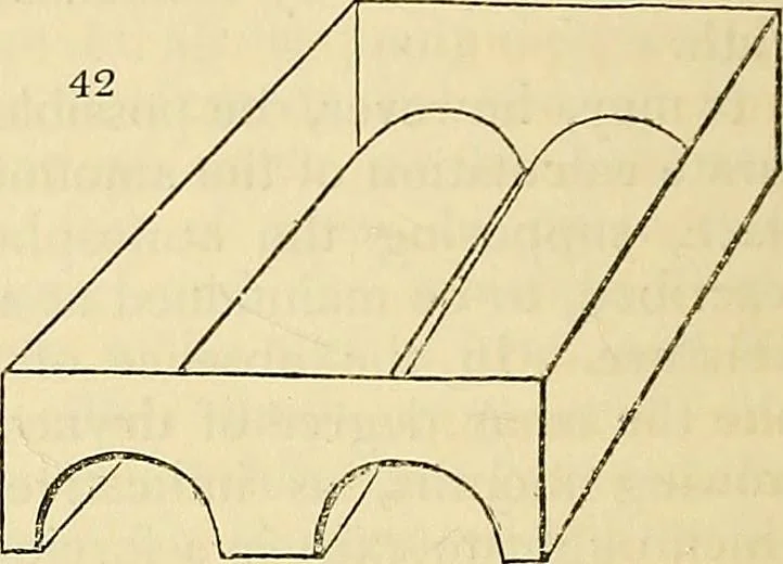 An illustration from The gardener's magazine and register of rural & domestic improvement, 1826, leaf 311