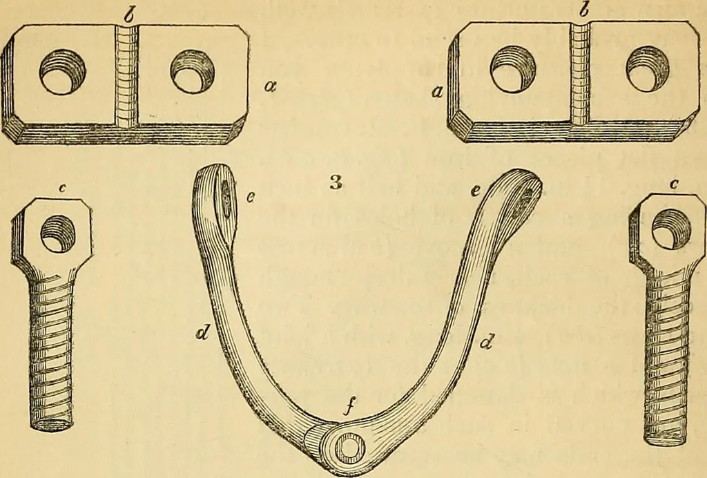 An illustration from The gardener's magazine and register of rural & domestic improvement, 1826, leaf 45