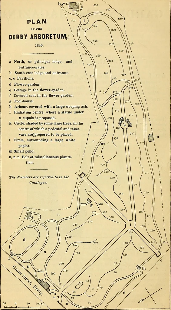 An illustration from The gardener's magazine and register of rural & domestic improvement, 1826, leaf 549