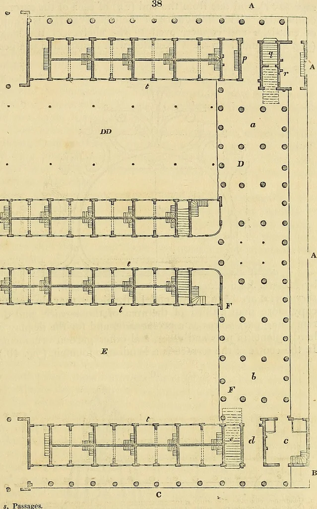An illustration from The gardener's magazine and register of rural & domestic improvement, 1826, leaf 281