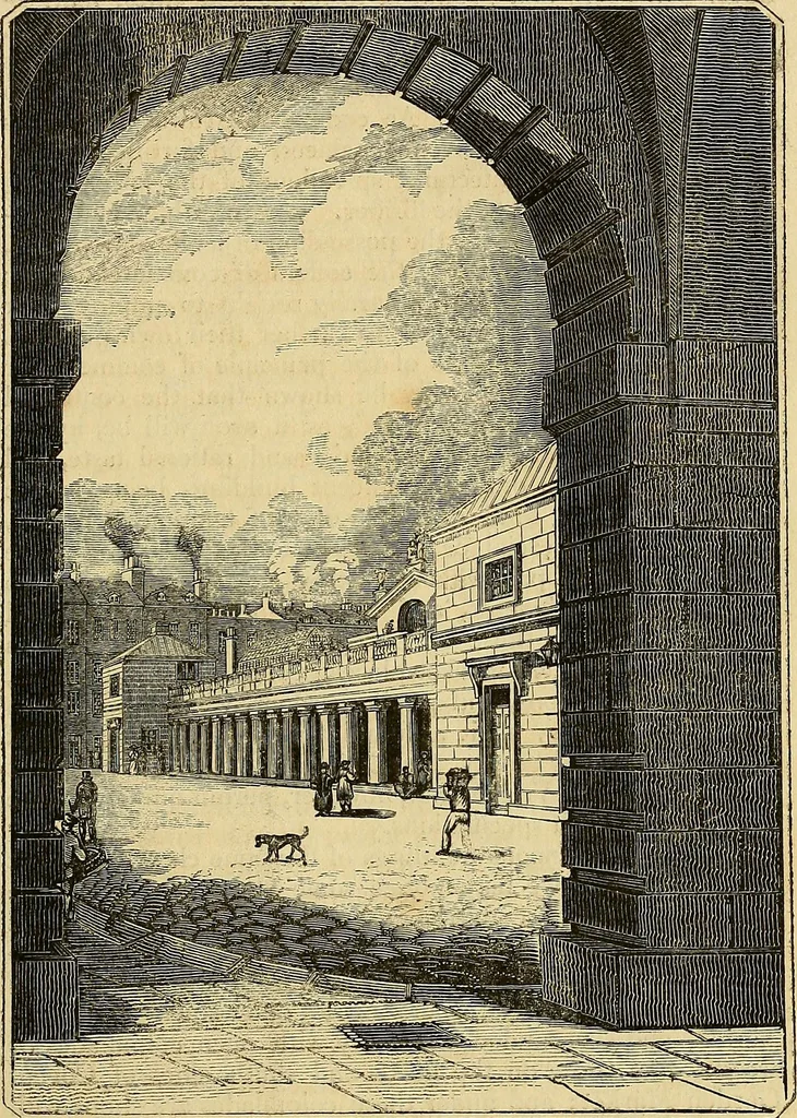 An illustration from The gardener's magazine and register of rural & domestic improvement, 1826, leaf 285