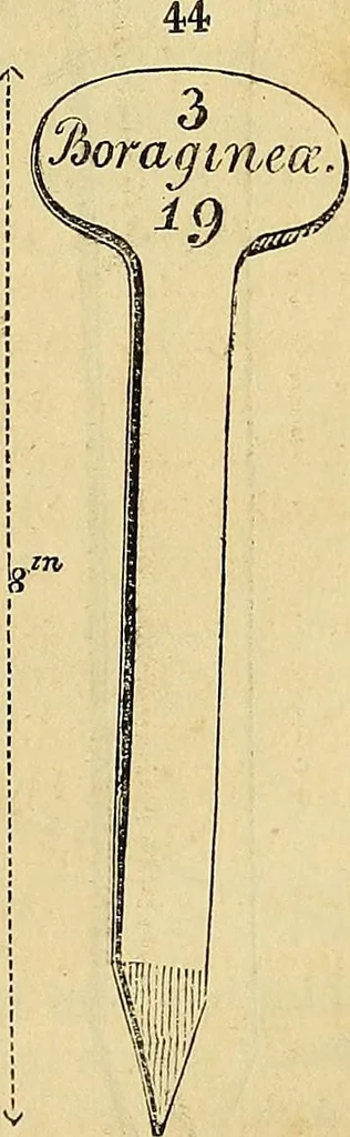 An illustration from The gardener's magazine and register of rural & domestic improvement, 1826, leaf 293