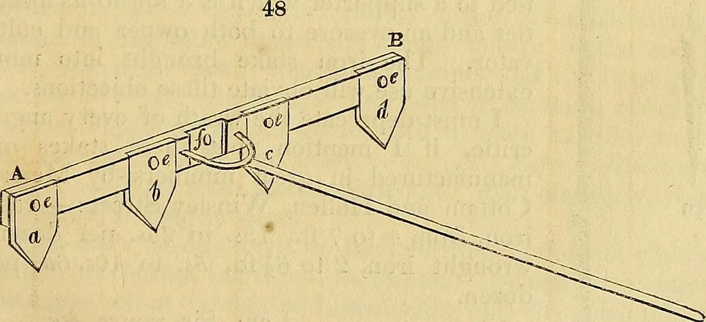 An illustration from The gardener's magazine and register of rural & domestic improvement, 1826, leaf 295