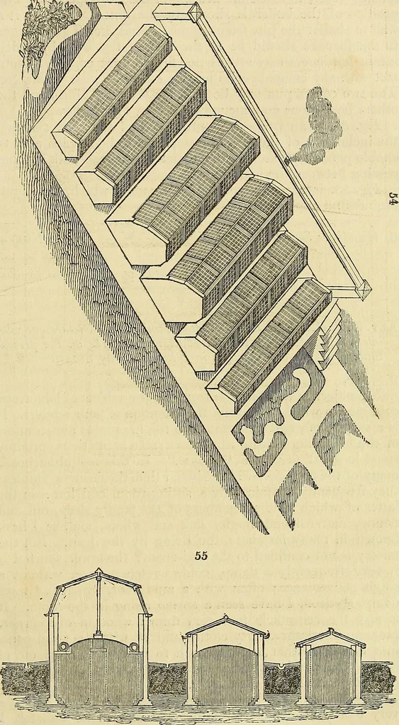 An illustration from The gardener's magazine and register of rural & domestic improvement, 1826, leaf 303