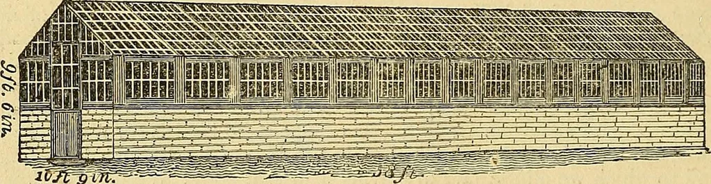 An illustration from The gardener's magazine and register of rural & domestic improvement, 1826, leaf 360
