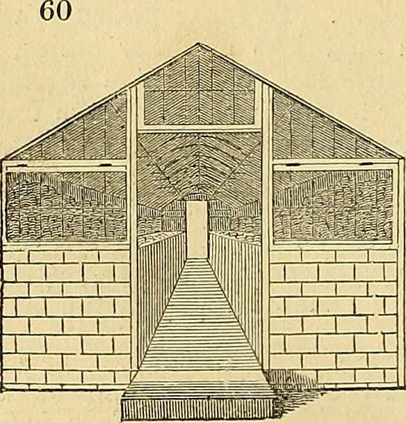 An illustration from The gardener's magazine and register of rural & domestic improvement, 1826, leaf 360