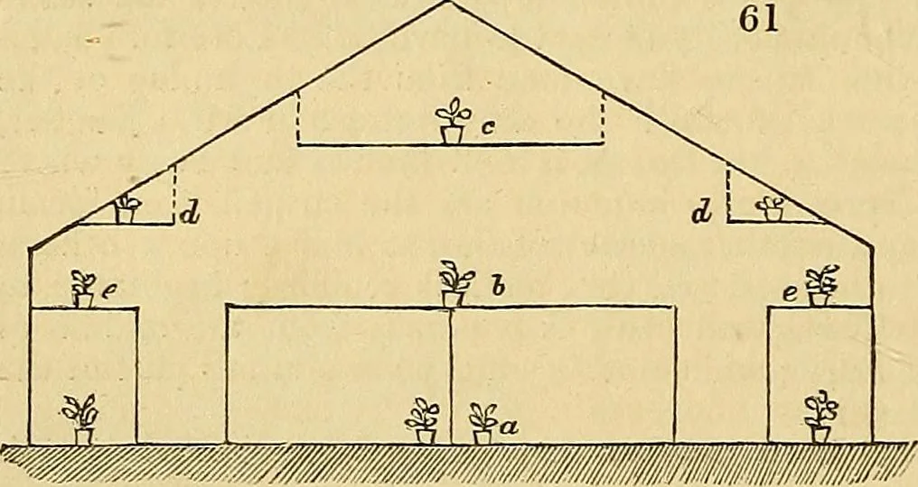 An illustration from The gardener's magazine and register of rural & domestic improvement, 1826, leaf 362