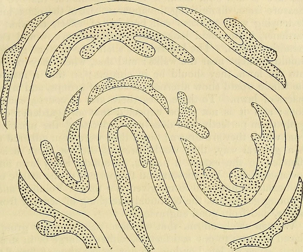 An illustration from The gardener's magazine and register of rural & domestic improvement, 1826, leaf 413