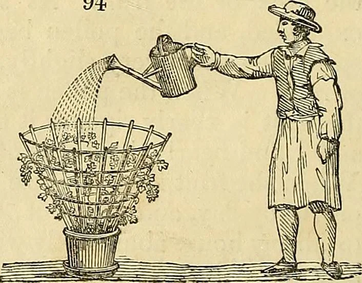 An illustration from The gardener's magazine and register of rural & domestic improvement, 1826, leaf 586