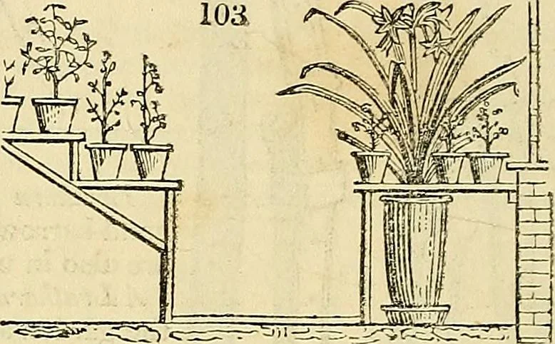 An illustration from The gardener's magazine and register of rural & domestic improvement, 1826, leaf 626