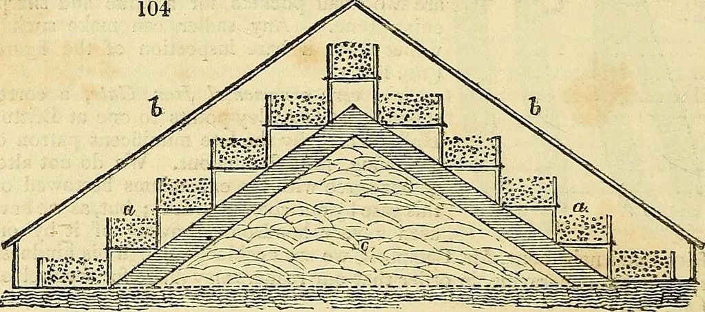 An illustration from The gardener's magazine and register of rural & domestic improvement, 1826, leaf 626