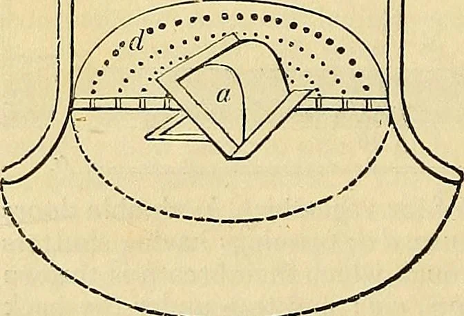 An illustration from The gardener's magazine and register of rural & domestic improvement, 1826, leaf 666