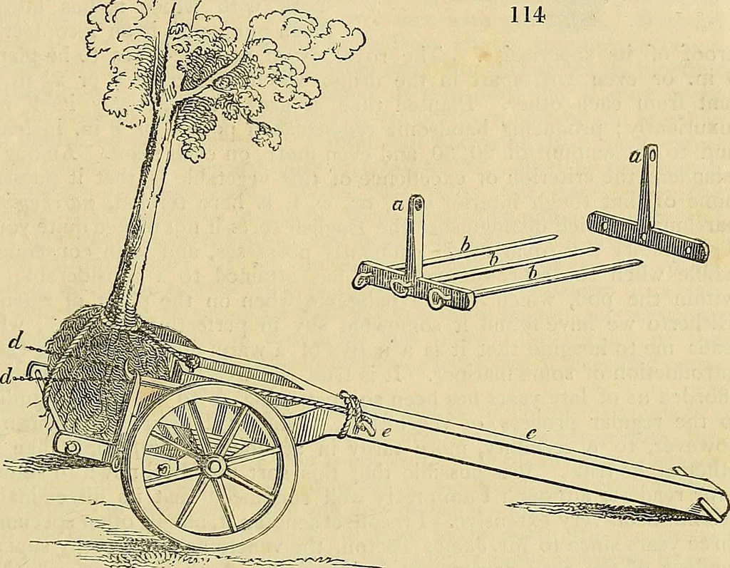 An illustration from The gardener's magazine and register of rural & domestic improvement, 1826, leaf 667
