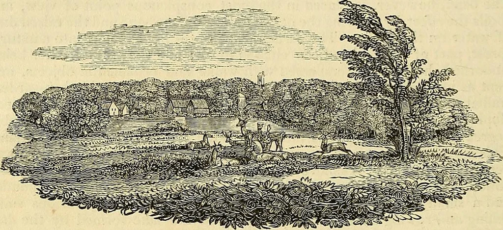 An illustration from The gardener's magazine and register of rural & domestic improvement, 1826, leaf 674