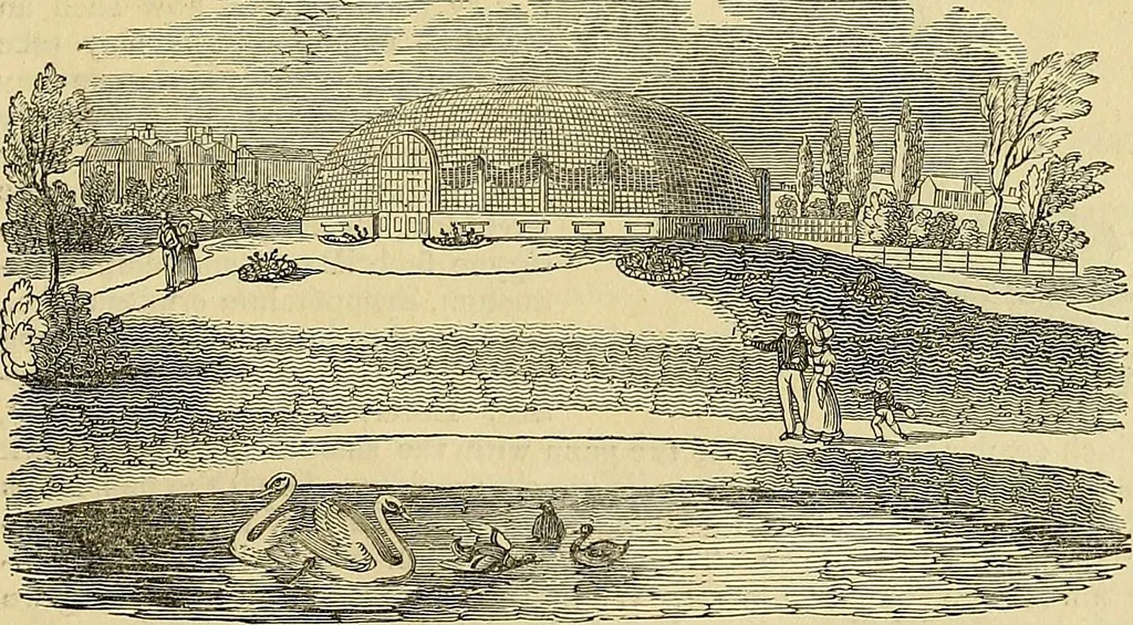 An illustration from The gardener's magazine and register of rural & domestic improvement, 1826, leaf 705