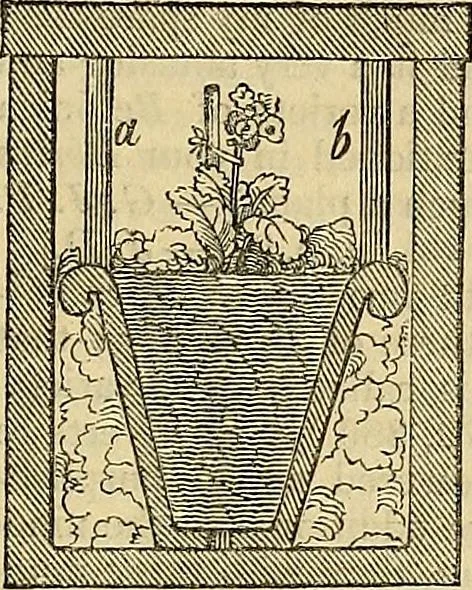 An illustration from The gardener's magazine and register of rural & domestic improvement, 1826, leaf 729