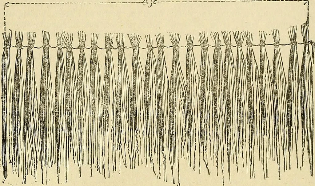 An illustration from The gardener's magazine and register of rural & domestic improvement, 1826, leaf 98