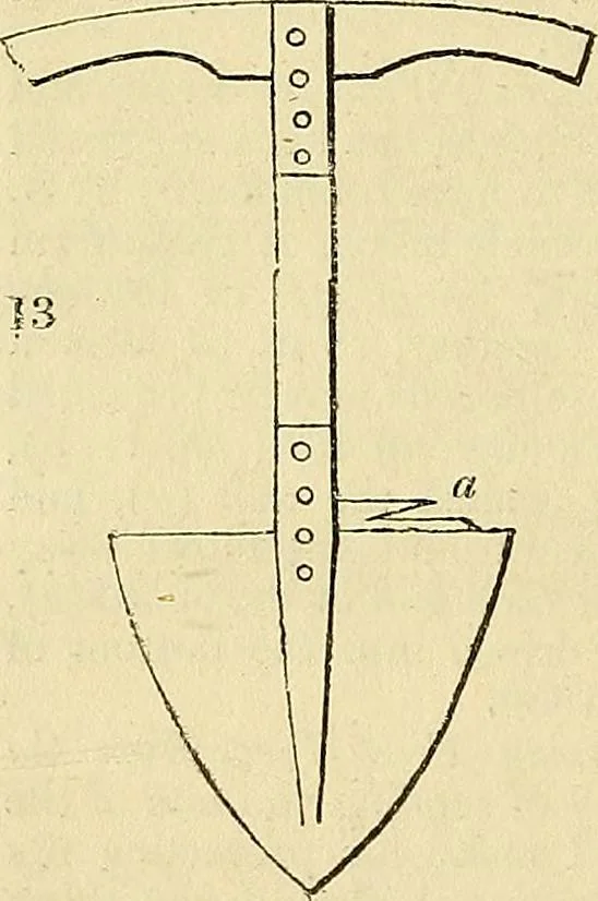 An illustration from The gardener's magazine and register of rural & domestic improvement, 1826, leaf 98