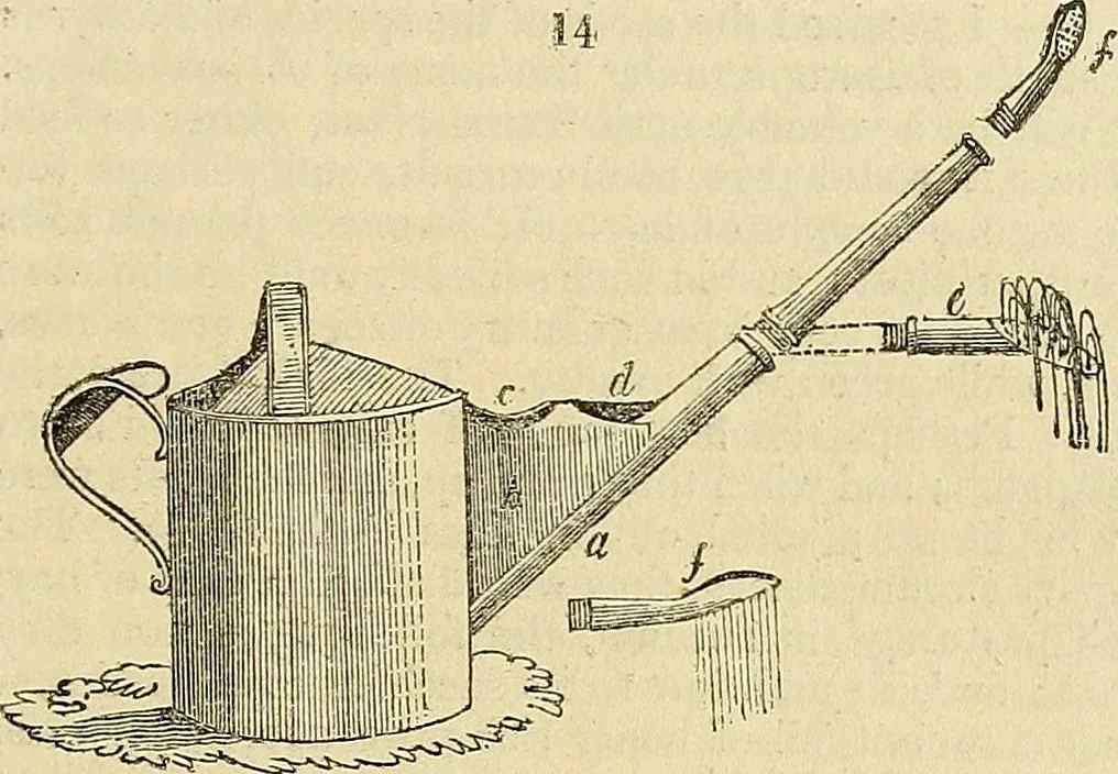 An illustration from The gardener's magazine and register of rural & domestic improvement, 1826, leaf 99