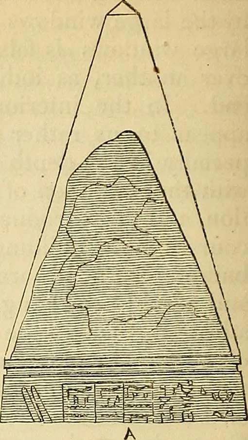 An illustration from The gardener's magazine and register of rural & domestic improvement, 1826, leaf 221