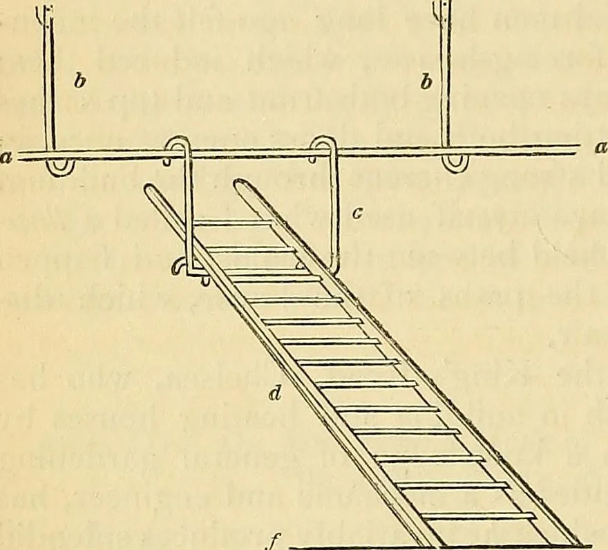 An illustration from The gardener's magazine and register of rural & domestic improvement, 1826, leaf 233