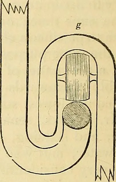 An illustration from The gardener's magazine and register of rural & domestic improvement, 1826, leaf 233