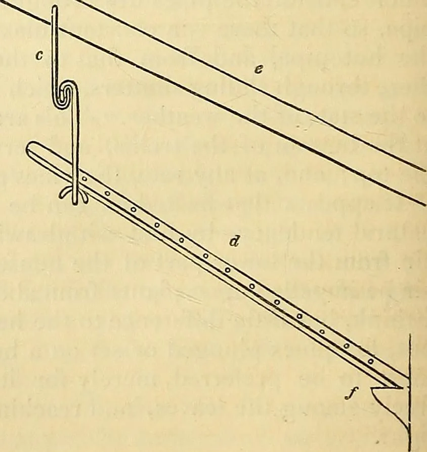 An illustration from The gardener's magazine and register of rural & domestic improvement, 1826, leaf 233
