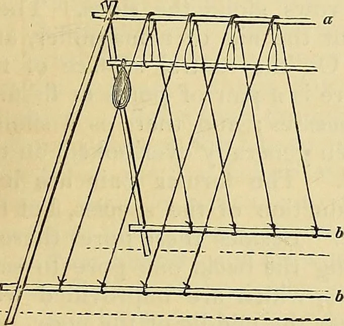 An illustration from The gardener's magazine and register of rural & domestic improvement, 1826, leaf 234