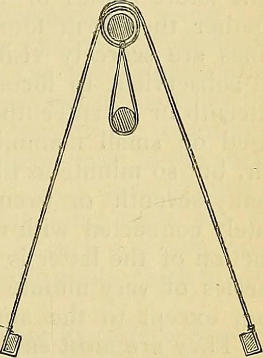 An illustration from The gardener's magazine and register of rural & domestic improvement, 1826, leaf 234