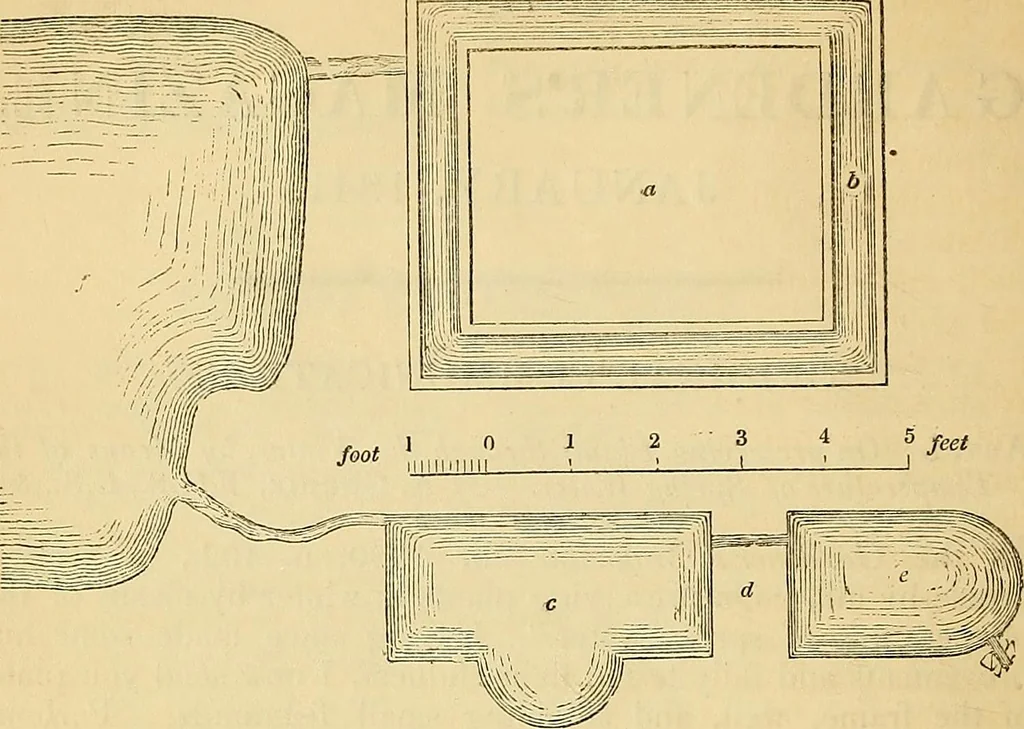An illustration from The gardener's magazine and register of rural & domestic improvement, 1826, leaf 25