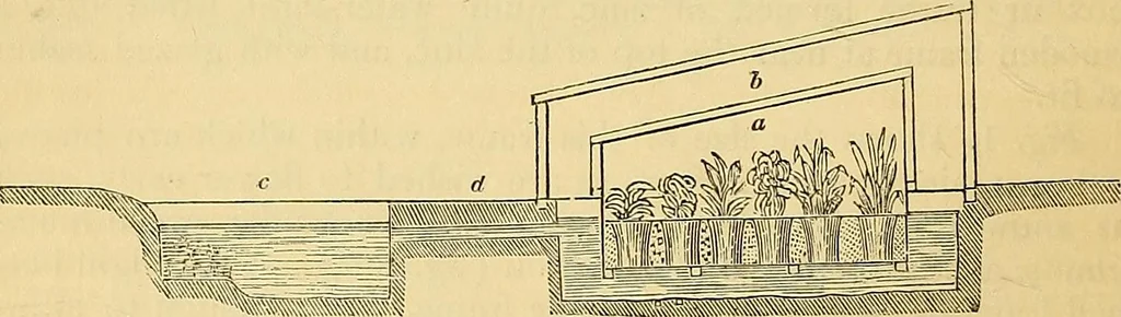 An illustration from The gardener's magazine and register of rural & domestic improvement, 1826, leaf 25