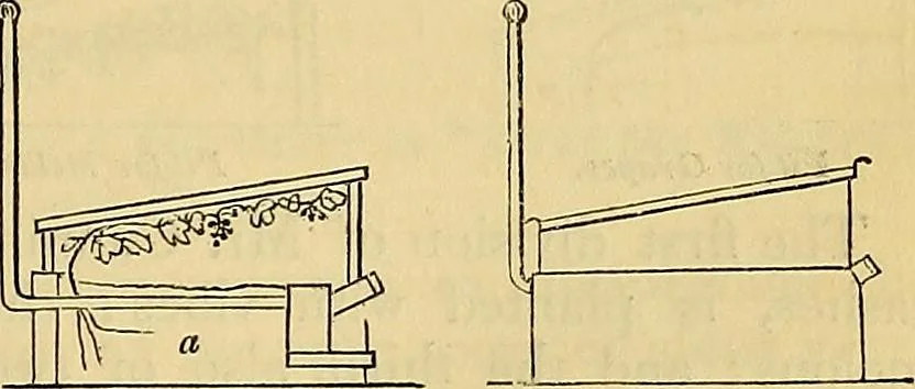 An illustration from The gardener's magazine and register of rural & domestic improvement, 1826, leaf 28