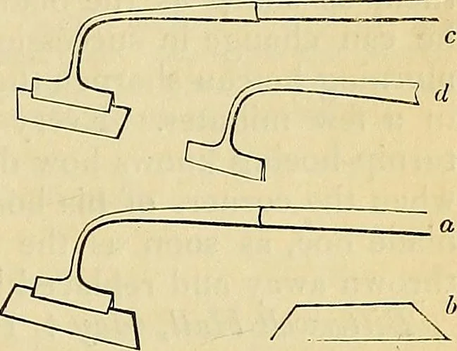 An illustration from The gardener's magazine and register of rural & domestic improvement, 1826, leaf 334