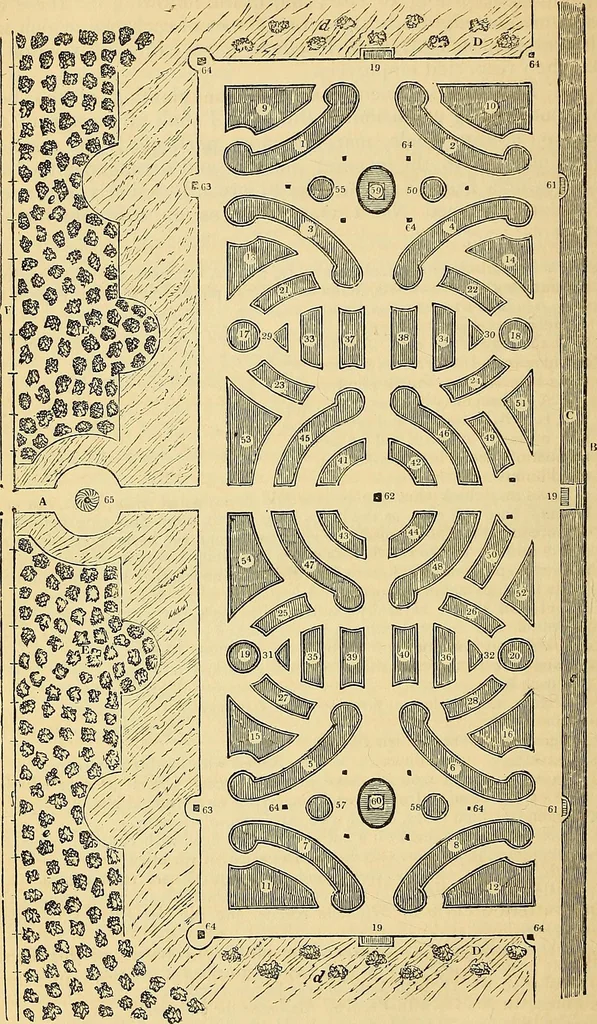 An illustration from The gardener's magazine and register of rural & domestic improvement, 1826, leaf 635