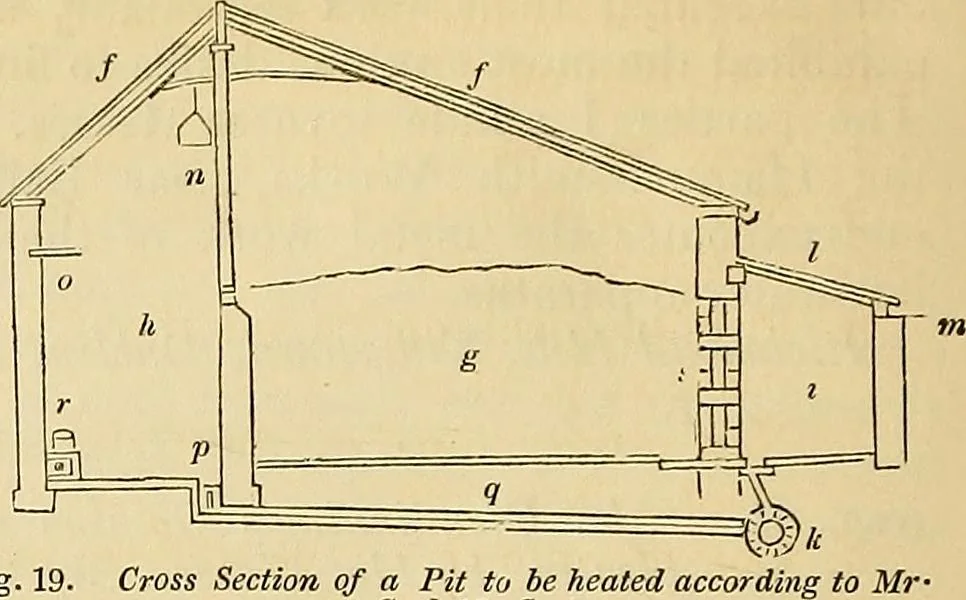 An illustration from The gardener's magazine and register of rural & domestic improvement, 1826, leaf 81