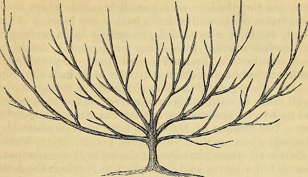An illustration from The gardener's magazine and register of rural & domestic improvement, 1826, leaf 92