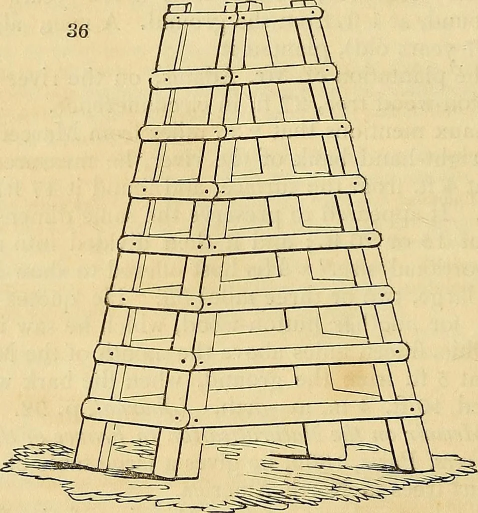 An illustration from The gardener's magazine and register of rural & domestic improvement, 1826, leaf 167