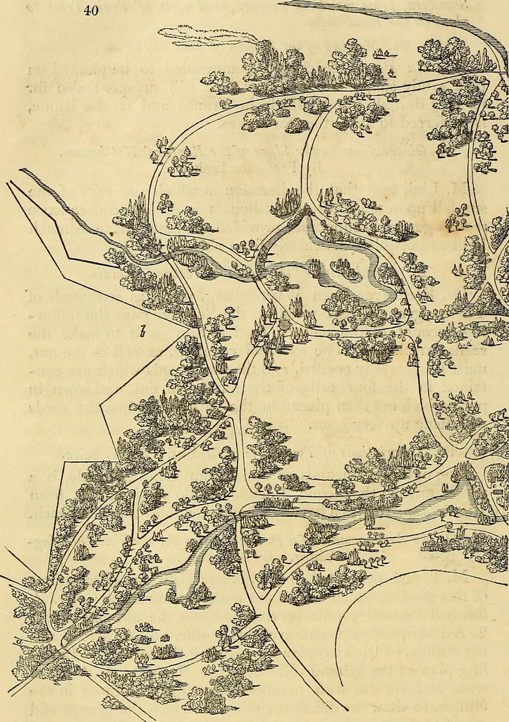 An illustration from The gardener's magazine and register of rural & domestic improvement, 1826, leaf 205