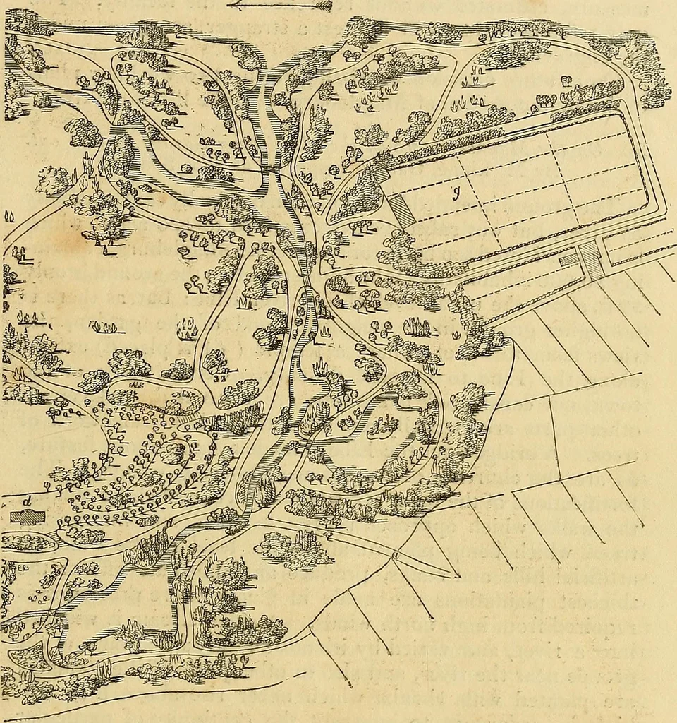 An illustration from The gardener's magazine and register of rural & domestic improvement, 1826, leaf 206