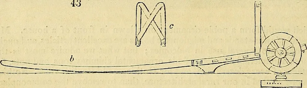 An illustration from The gardener's magazine and register of rural & domestic improvement, 1826, leaf 251
