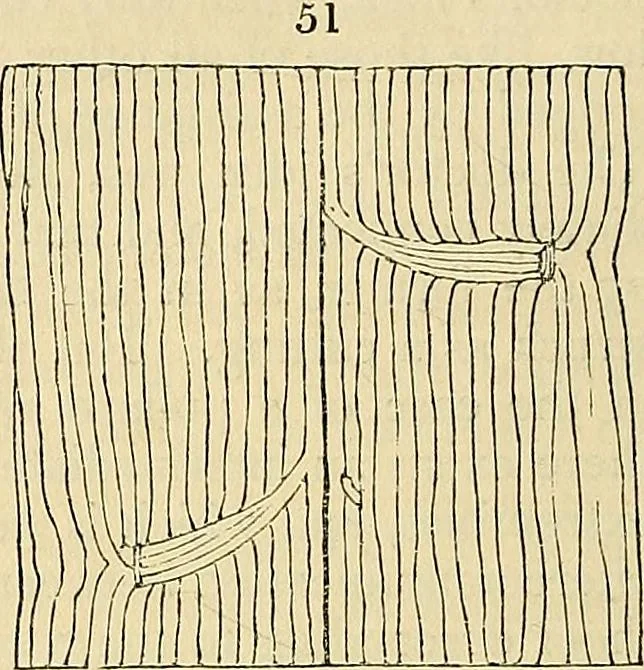 An illustration from The gardener's magazine and register of rural & domestic improvement, 1826, leaf 323
